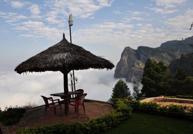 tupande magamba irente view