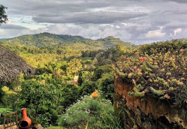tupande usambara