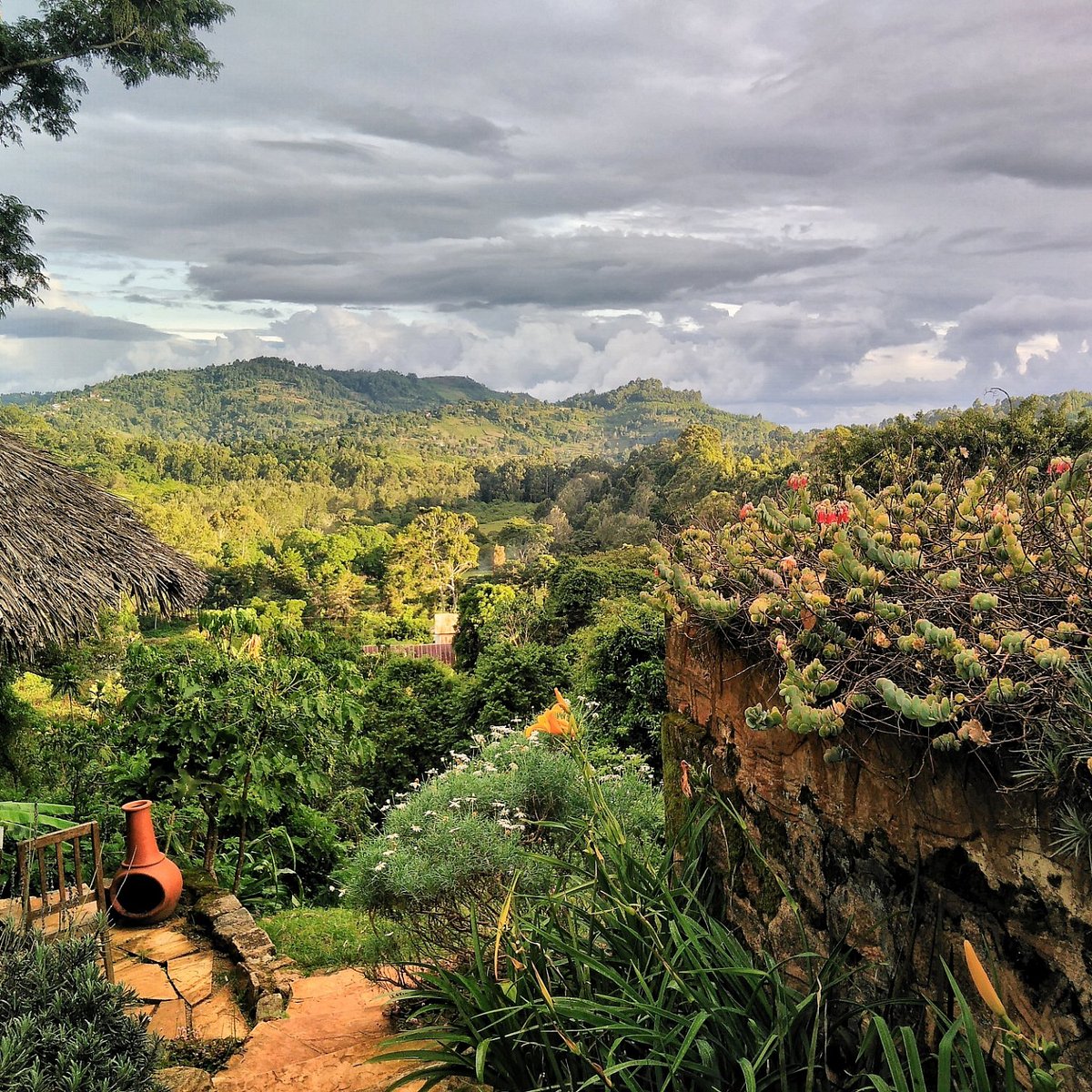 tupande usambara